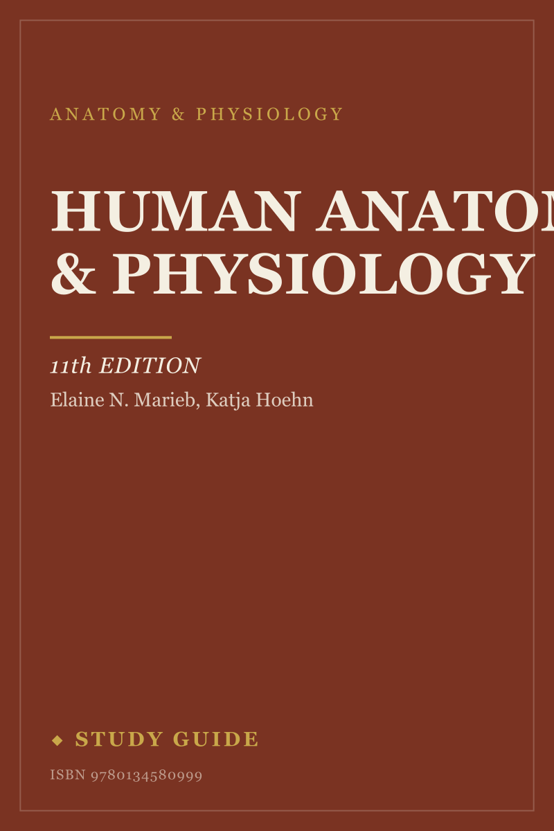 Human Anatomy & Physiology (11th Edition) study guide cover