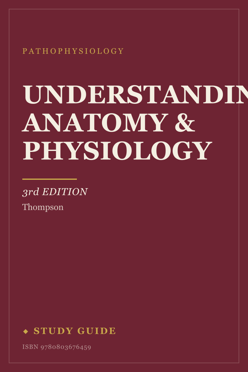 Understanding Anatomy & Physiology (3rd Edition) study guide cover